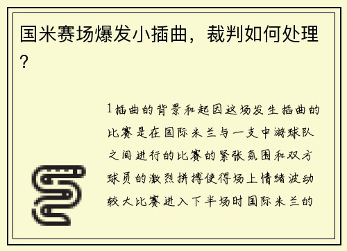 国米赛场爆发小插曲，裁判如何处理？