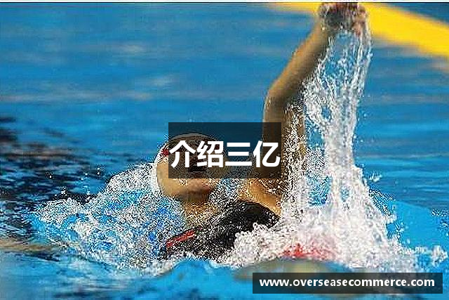 介绍三亿